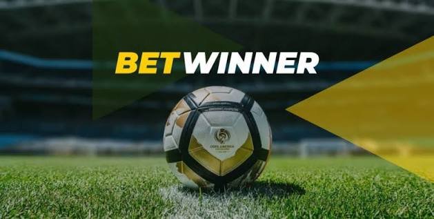 Everything You Need to Know About BetWinner Login
